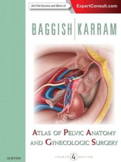 Ebook Atlas-of-Pelvic-Anatomy-and-Gynecologic-Surgery-4e