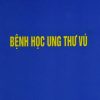 benh-hoc-ung-thu-vu