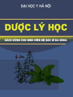 duoc-ly-hoc-y-dao-van-phan