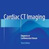 Cardiac-CT-Imaging-Diagnosis-of-Cardiovascular-Disease-3e