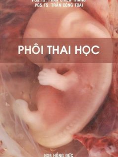 phoi-thai-hoc-dh-yd-tran-cong-toai