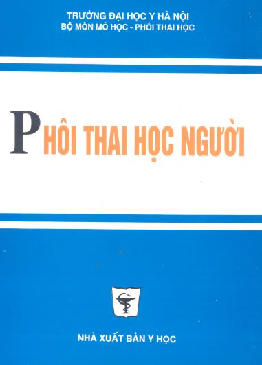 phoi-thai-hoc-nguoi-do-kinh