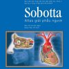 Sobotta Atlas Giải phẫu người