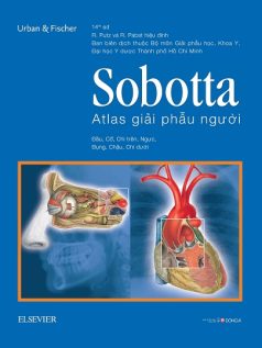 Sobotta Atlas Giải phẫu người